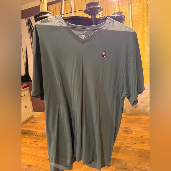 Psycho Bunny Other - Pyscho Bunny Men’s Vneck. Size 8. Blueish color.